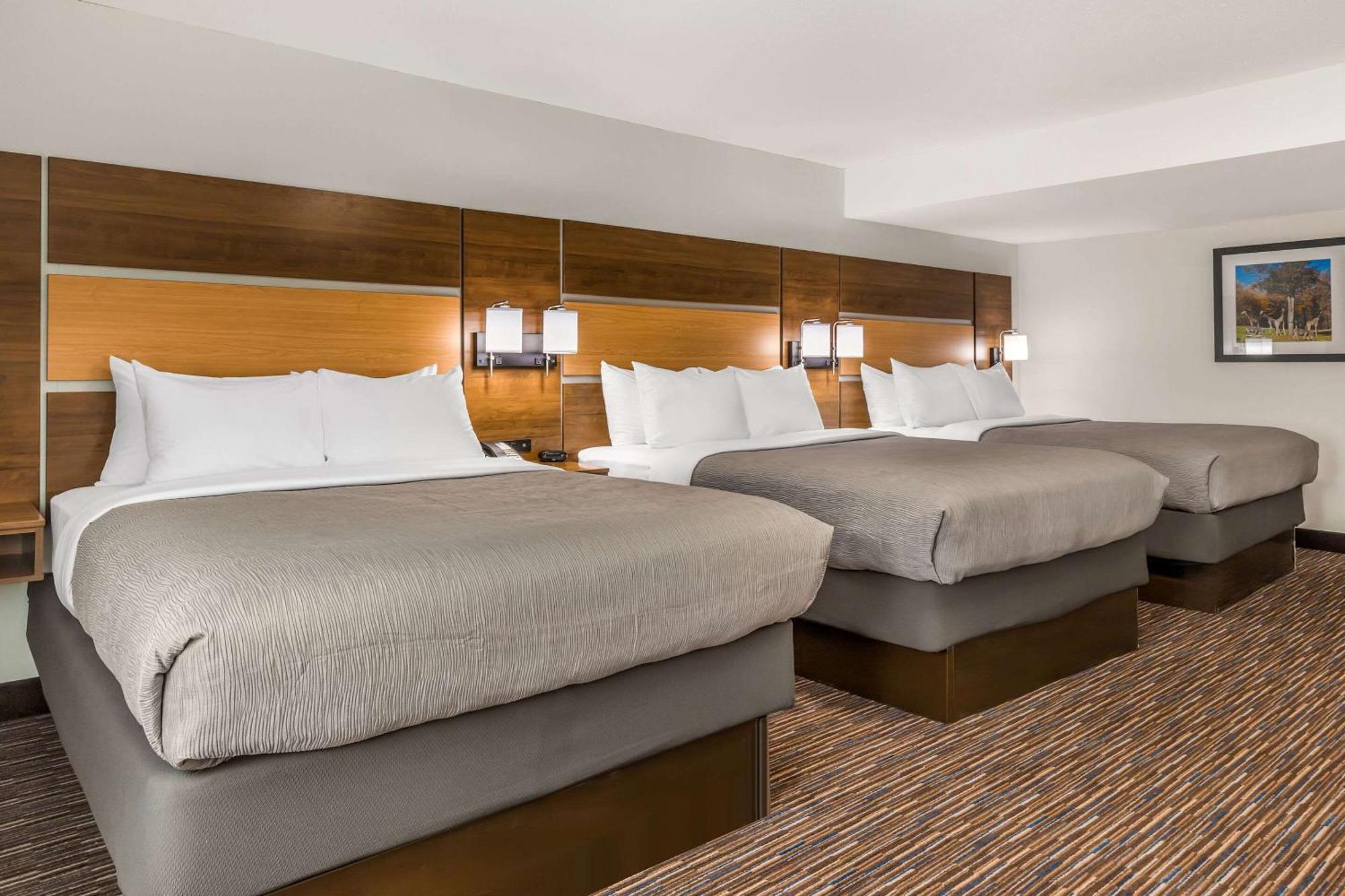 Quality Inn Asheboro South מראה חיצוני תמונה
